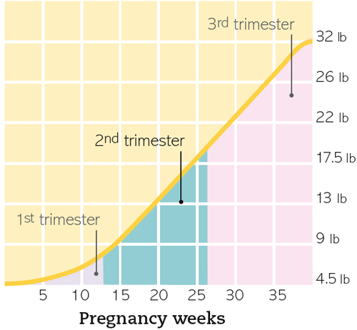 How To Lose Weight During Pregnancy Second Trimester