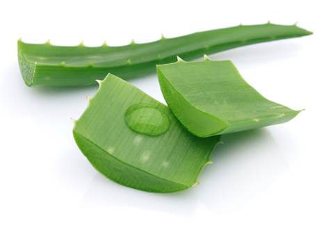 Aloe can cause pelvic hemorrhage.