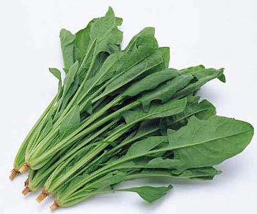 People who suffer from kidney stones should limit to eat spinach. 