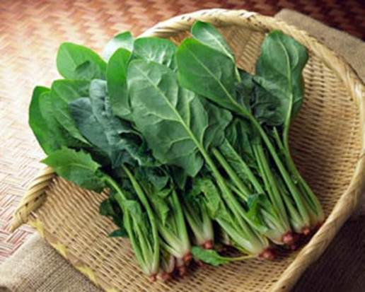 Description: Spinach is vegetable for brain because it contains high content of vitamin A, C, B1 and B2.