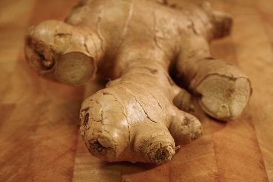 Description: Ginger is one of the most ancient and famous herbs in treating illness from digestive disorder to gout.