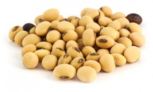 Description: Soy bean is a natural and beneficial way to reduce the unpleasant symptoms of menopause.