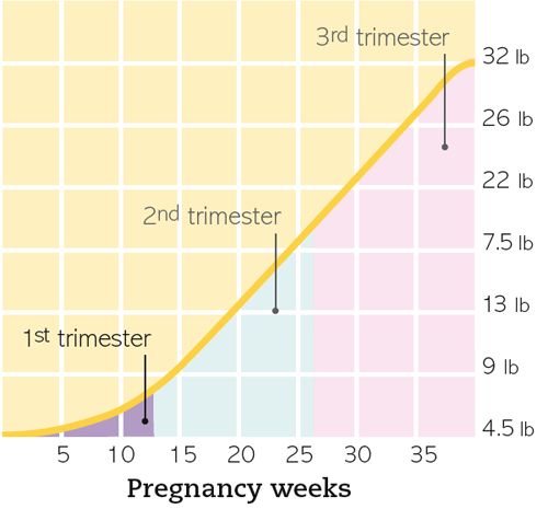 Pregnancy Weight Gain Week By Week Chart