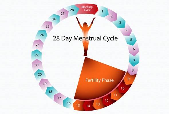 Description: 28-day cycle is just the average.
