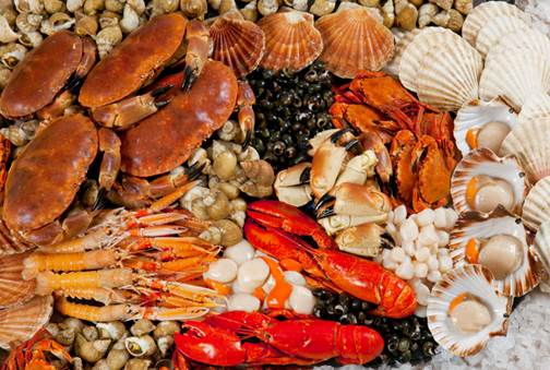 Seafood has lots of zinc and antioxidants.