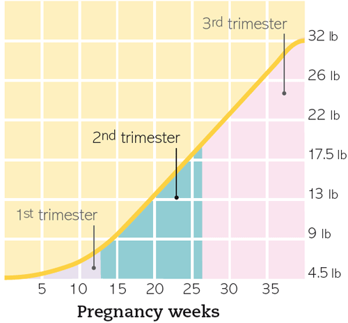 Fetal Weight Gain Third Trimester Chart