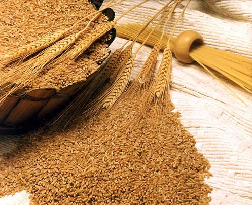 Wheat bran is often billed as a wonder food for healthy bowels. 