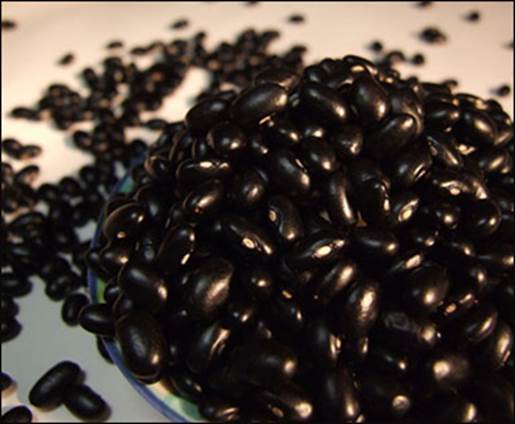 Black bean’s effect is much better than soybean’s.