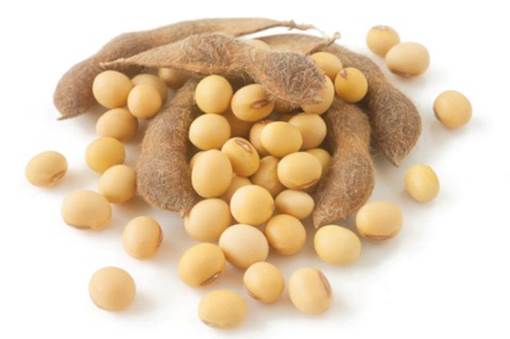 Fortunately, allergy with soybean isn’t serious and it doesn't affect children a lot.