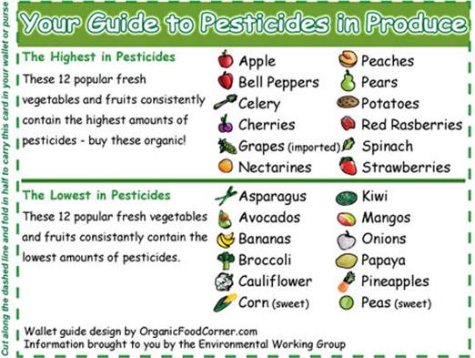 Description: organic foods