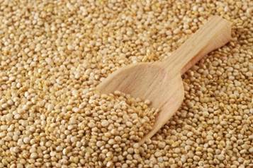 Description: Quinoa grain