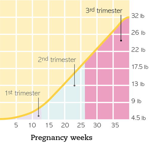 1st 2nd And 3rd Trimester Chart