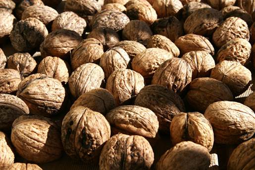 If you eat a small handful of walnut- fruit that contains a lot of polyphenol can help your memory be improved to 19%.