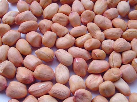 Peanut has effect in beautifying skin, reducing cough and digestion…