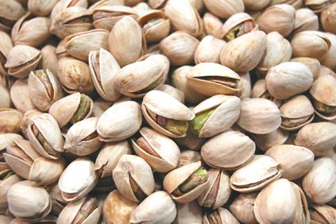 Pistachio nut