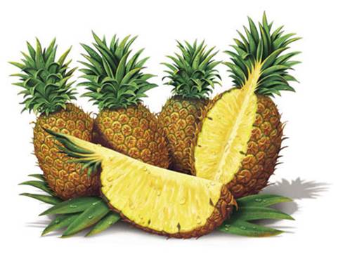 In the first 3 months of pregnancy, pregnant women shouldn’t eat and drink fresh pineapple or pineapple juice.