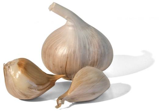 Description: Garlic Gourmet