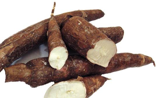Description: Cassava