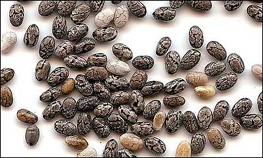 Description: Chia seeds