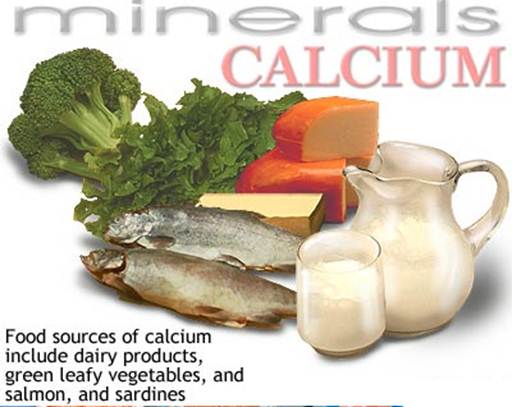 Description:  High Calcium Foods