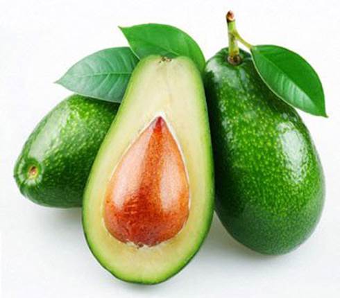 Avocado is the fruit that contains a lot of nutrients.
