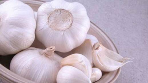 Garlic contains some antioxidants that can against bacteria that attack immune system.