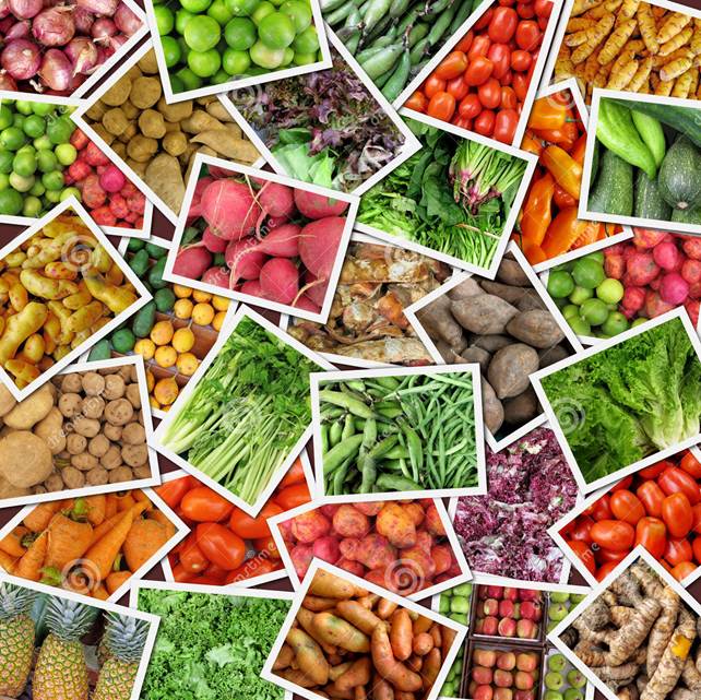 Plant-based foods provide a whopping 64 times more antioxidant levels than meat, fish, eggs and dairy.