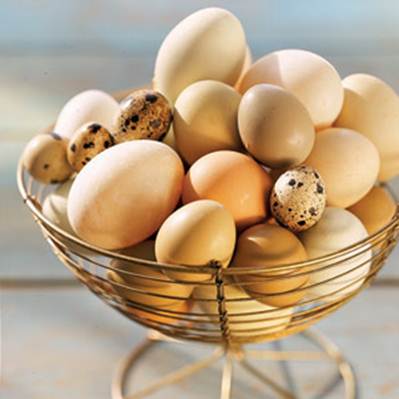 Description: Eggs can help boost your memory