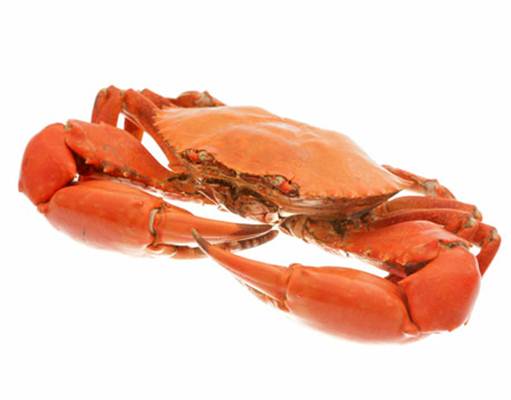 Description: Crab