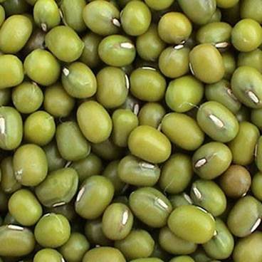 Description: Green bean has cooling, detoxifying, diuretic, refreshing and sunstroke treatment benefits.