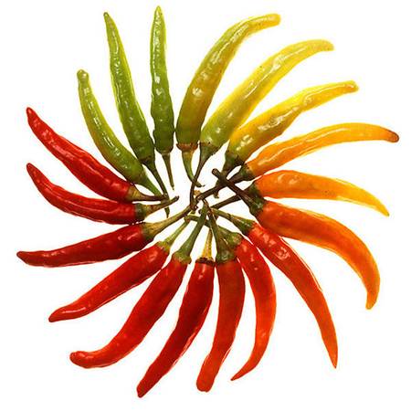 Description: Chilli peppers have been used medicinally for centuries.