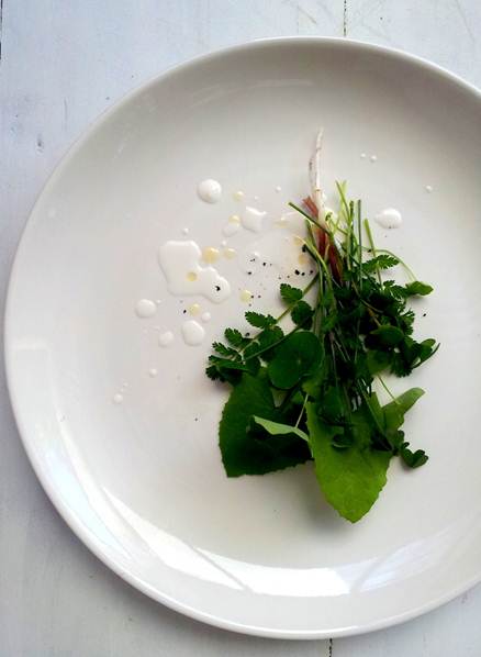 Description: Fiery, seasonal wild weed salad with buttermilk and olive oil dressing