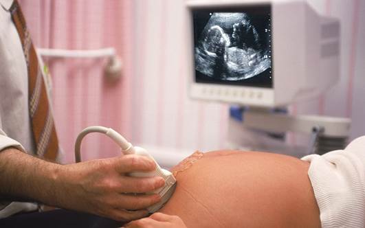 Most of organs inside fetal body are checked to guarantee normal developments.