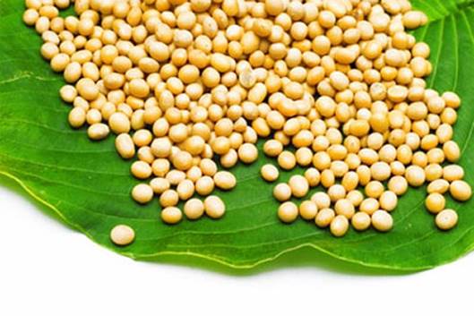 Soy is rich in magnesium.