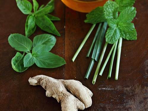 You should use foods that contain spices that are able to diffuse the scent, such as ginger, mint and basil, will be very good for your health.