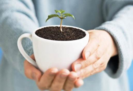 Coffee grounds are used for gardening popularly as it is as well fertilizer.