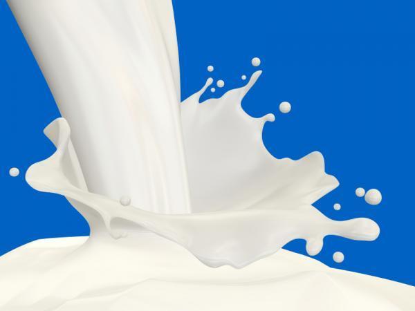 Description: Adding milk may blunt tea’s heart-health benefits
