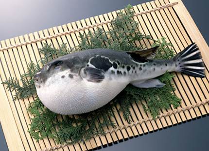 Description: Fugu