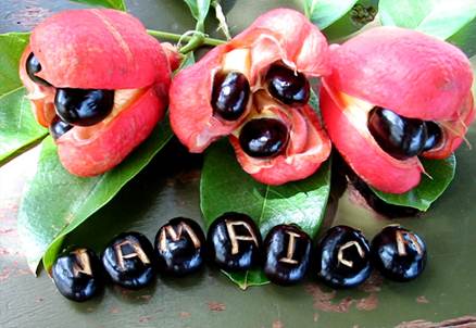 Description: Ackee fruit