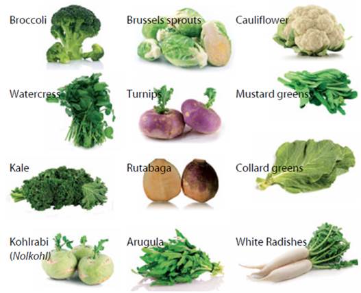 Cabbage (including Chinese cabbage and bok choy)