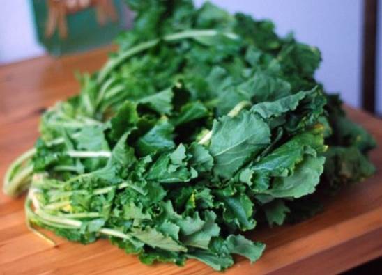 Kinds of vegetable that have dark green are very rich of magnesium.