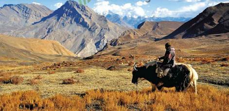 Description: We met a friendly herdsman riding his yak to Demul village.