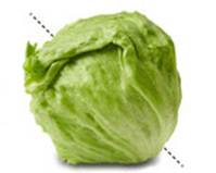 Description: 26-week fetus is equal to cabbage.