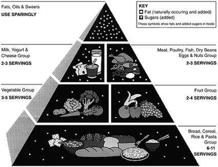 Description: Food guide pyramid. For pregnant women