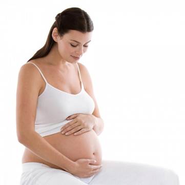 Description: From the 8th week of pregnancy, the baby begins perceiving by feeling
