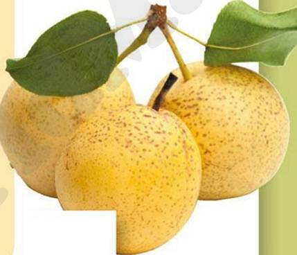 Description: Golden globes: Asian pears are wonderfully juicy