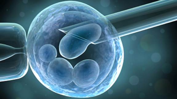 The infertility abilities are like intra-uterine insemination, in vitro fertilization… have become the objects to many married couples.