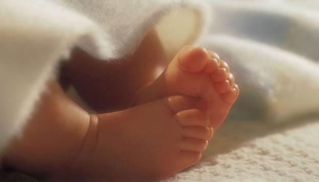 Did you know that Babies are born with only 22 bones (actually soft flexible cartilage that hardens) in each foot? 