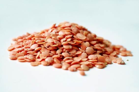 Lentil which is a wonderful source of nutrient provides children with protein, iron, fiber, folate and calcium.