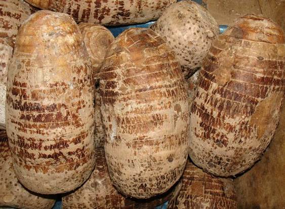 The value of the taro also depends on the using.